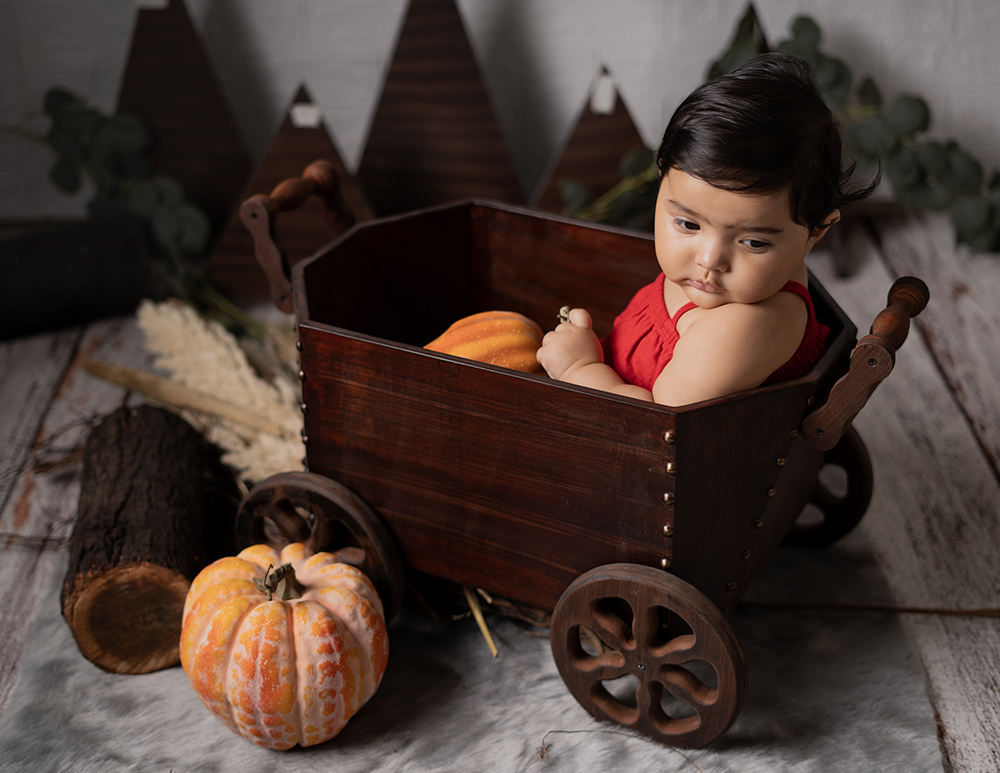 Baby photography theme with studio styling